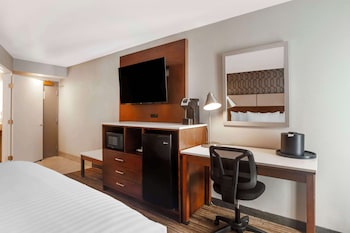 Standard Room, 1 King Bed, Non Smoking, Refrigerator & Microwave (with Sofabed)