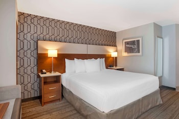 Standard Room, 1 King Bed, Accessible, Refrigerator & Microwave (Walk-in Shower)