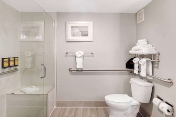 Standard Room, 1 King Bed, Accessible, Refrigerator & Microwave (Walk-in Shower)