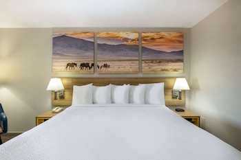 Room, 1 King Bed, Accessible, Non Smoking