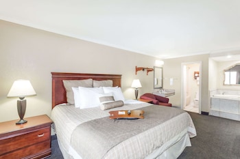 Studio Suite, 1 King Bed, Non Smoking (Efficiency Room)
