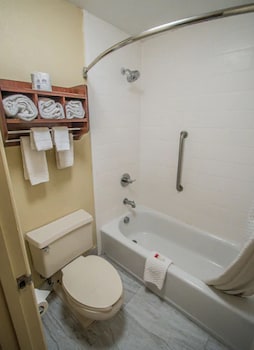 Room, Multiple Beds, Non Smoking (Efficiency)