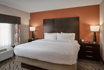 Suite, 1 King Bed with Sofa bed, Accessible, Bathtub (Mobility & Hearing)
