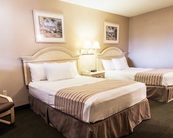 Standard Room, 2 Double Beds