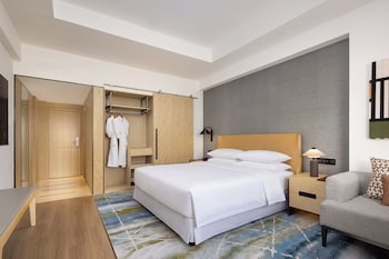 Room,  1 King Bed, East Wing