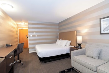 Standard Room, 1 King Bed with Sofa bed (no pets allowed)