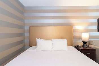 Standard Room, 1 King Bed with Sofa bed (no pets allowed)