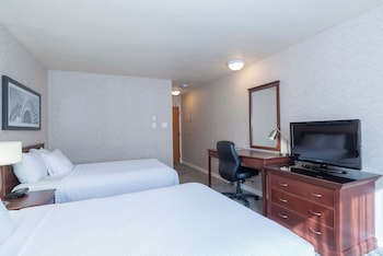 Standard Room, 2 Double Beds