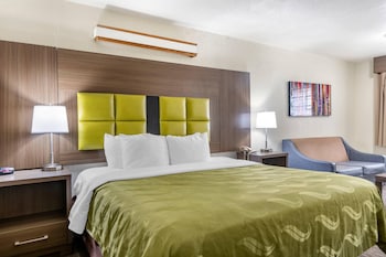 Room, 1 King Bed with Sofa bed, Accessible, Non Smoking (Accessible Tub)