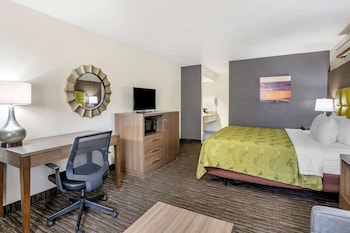 Room, 1 King Bed with Sofa bed, Accessible, Non Smoking (Accessible Tub)