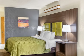 Standard Room, 1 King Bed with Sofa bed, Non Smoking