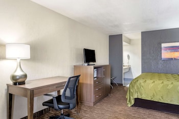 Standard Room, 1 King Bed with Sofa bed, Non Smoking