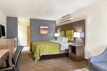 Standard Room, 1 King Bed with Sofa bed, Non Smoking