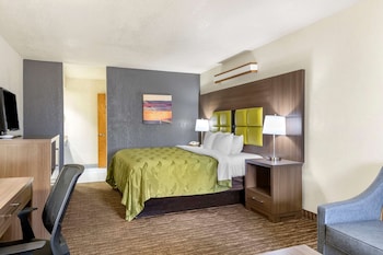 Standard Room, 1 King Bed with Sofa bed, Non Smoking