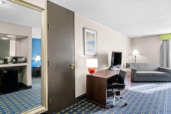 Suite, 1 King Bed, Non Smoking