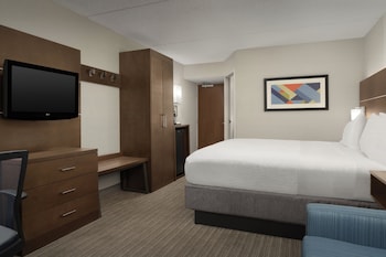 Standard Room, 1 King Bed with Sofa bed (Walk-In Shower)