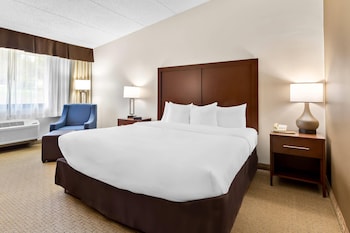 Standard Room, 1 King Bed, Non Smoking