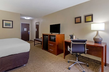 Room, 1 King Bed, Accessible, Non Smoking