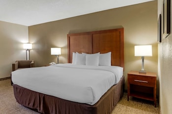 Room, 1 King Bed, Accessible, Non Smoking
