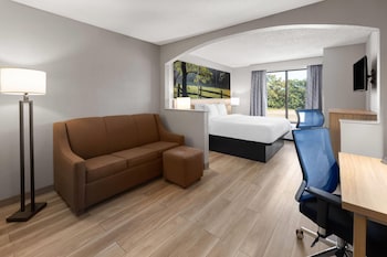 Studio Suite, 1 King Bed, Non Smoking