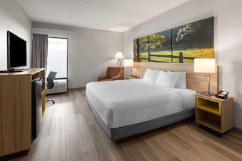Room, 1 King Bed, Accessible, Non Smoking