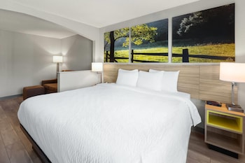 Deluxe Room, 1 King Bed, Non Smoking