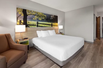 Room, 1 King Bed, Accessible, Non Smoking