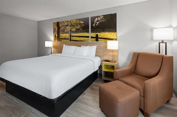 Room, 1 King Bed, Non Smoking