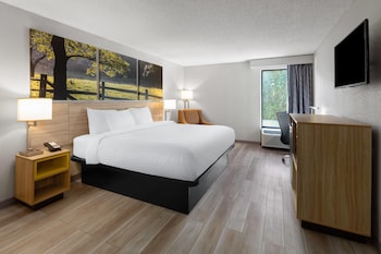 Room, 1 King Bed, Non Smoking
