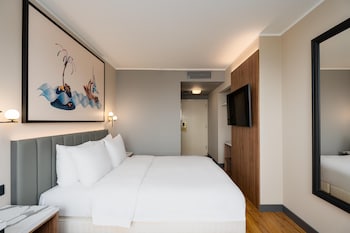 Standard Room (with SPA Access)