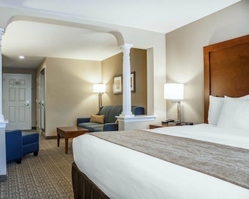 Business Studio Suite, 1 King Bed with Sofa Bed