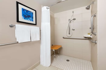 Room, 1 Queen Bed, Accessible (Roll-In Shower)