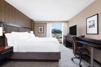 Room, 1 King Bed, Mountain View