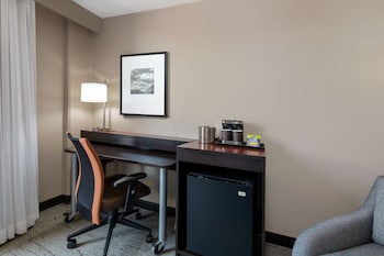 Room, 1 King Bed, Mountain View