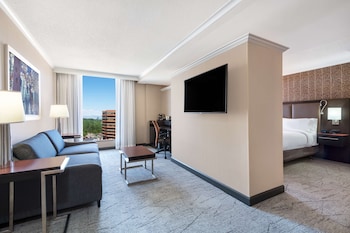 Studio, 1 King Bed, Accessible, Bathtub