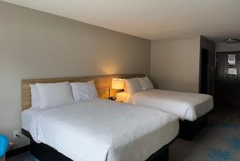 Studio, 2 Queen Beds, Non Smoking (Pet-friendly)