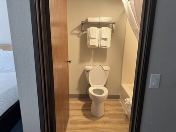 Studio, 2 Queen Beds, Non Smoking (Pet-friendly)
