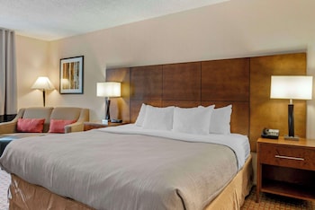 Business Room, 1 King Bed, Non Smoking