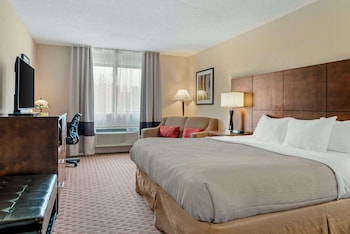 Business Room, 1 King Bed, Non Smoking