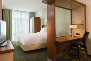 Suite, 1 King Bed with Sofa bed
