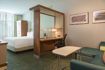 Suite, 1 King Bed with Sofa bed