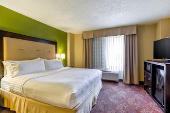 Premium Room, 1 King Bed, Courtyard View