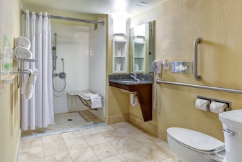 Standard Room, 1 Queen Bed, Accessible (Mobility, Roll-In Shower)