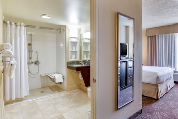 Standard Room, 1 Queen Bed, Accessible (Mobility, Roll-In Shower)