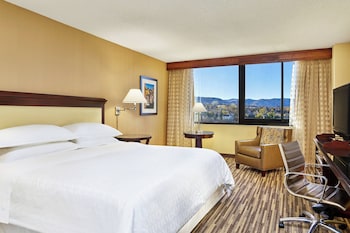 Basic Room, 1 King Bed