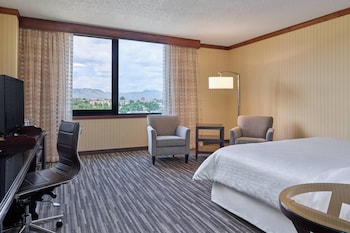 Club Room, 1 King Bed