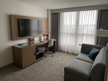 Suite, 1 King Bed with Sofa bed