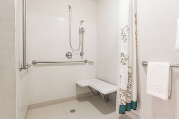 Suite, 2 Bedrooms (Mobility/Hearing Access, Roll-In Shwr)