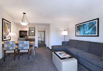 Suite, 1 Bedroom, Accessible, Non Smoking (1 king bed w/ roll in shower)