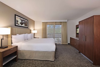 Suite, 1 Bedroom, Accessible, Non Smoking (1 king bed w/ roll in shower)